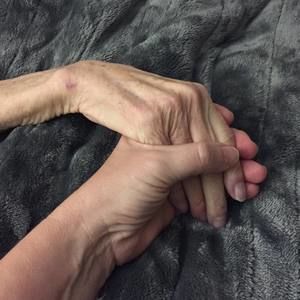 Meet your Posher, Sandy